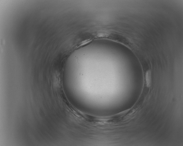 X0000061121443200511241657