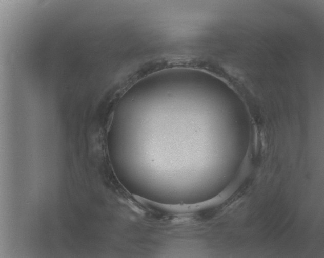 X0000061121445200511241657