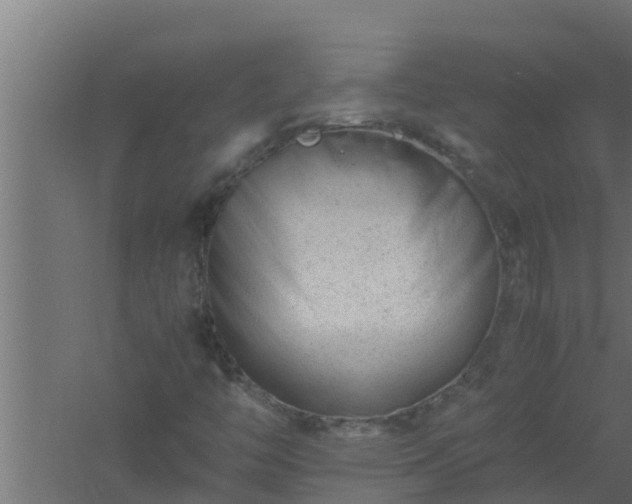 X0000061121446200511241657