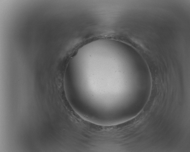 X0000061121447200511241657