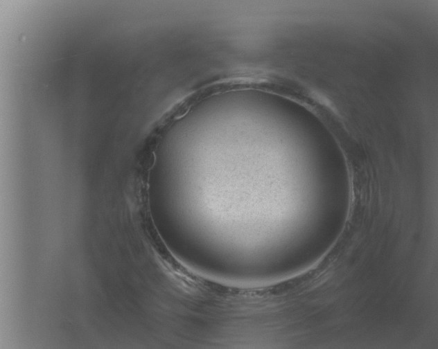 X0000061121448200511241657