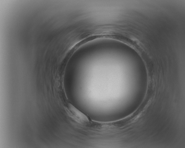 X0000061121449200511241657