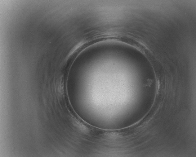 X0000061121450200511241657