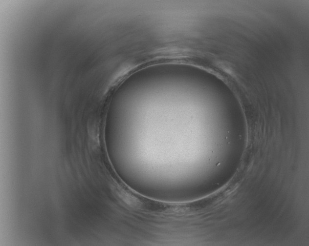 X0000061121451200511241657