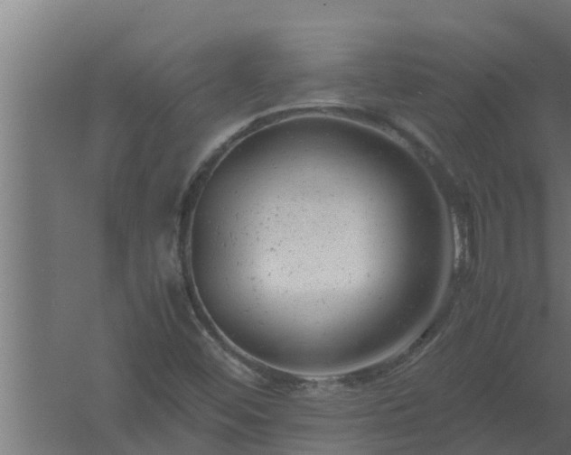 X0000061121452200511241657