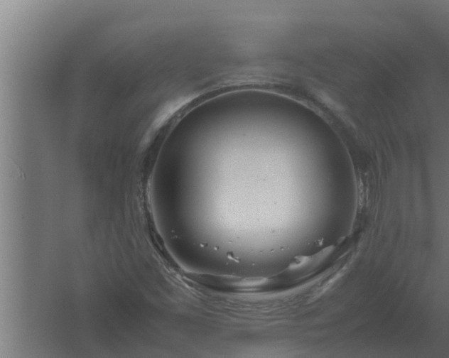 X0000061121453200511241657