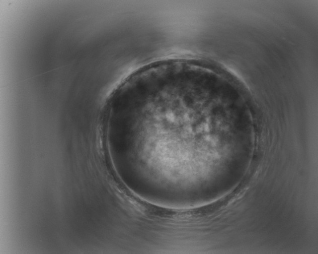 X0000061121455200511241657