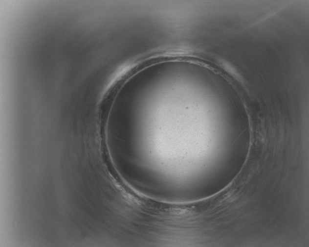 X0000061121456200511241657