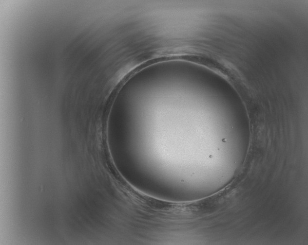 X0000061121457200511241657