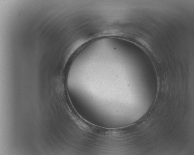 X0000061121458200511241657