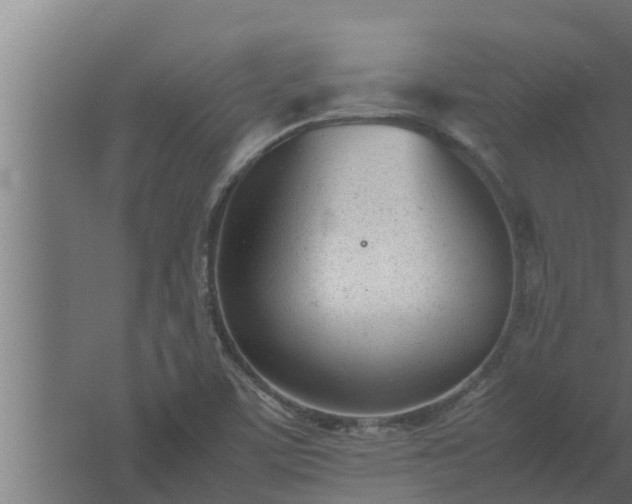 X0000061121459200511241657