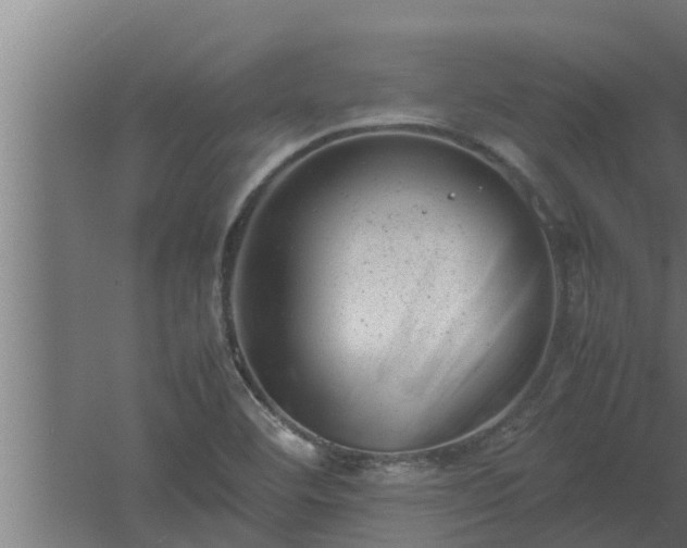 X0000061121460200511241657