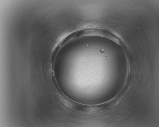 X0000061121461200511241657