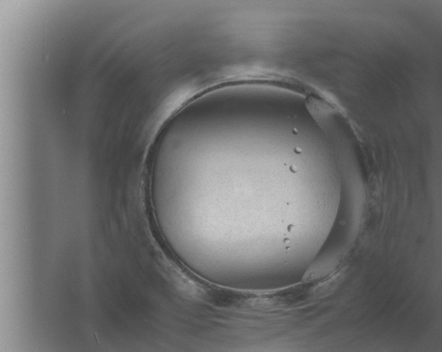 X0000061121463200511241657