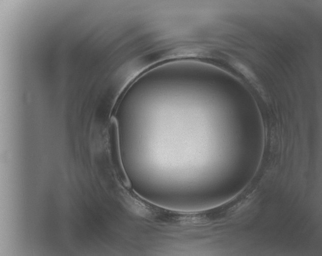 X0000061121465200511241657