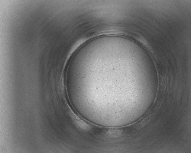 X0000061121466200511241657