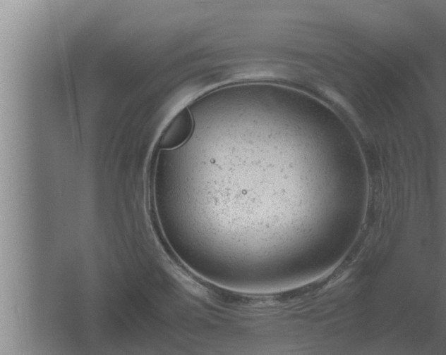 X0000061121467200511241657