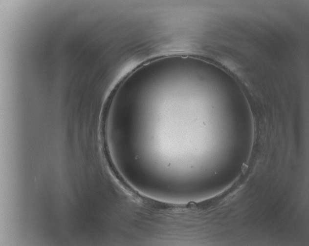 X0000061121469200511241657