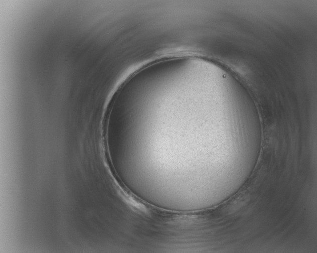 X0000061121470200511241657