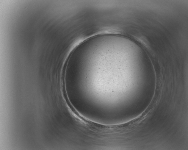 X0000061121471200511241657