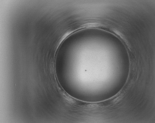 X0000061121473200511241657