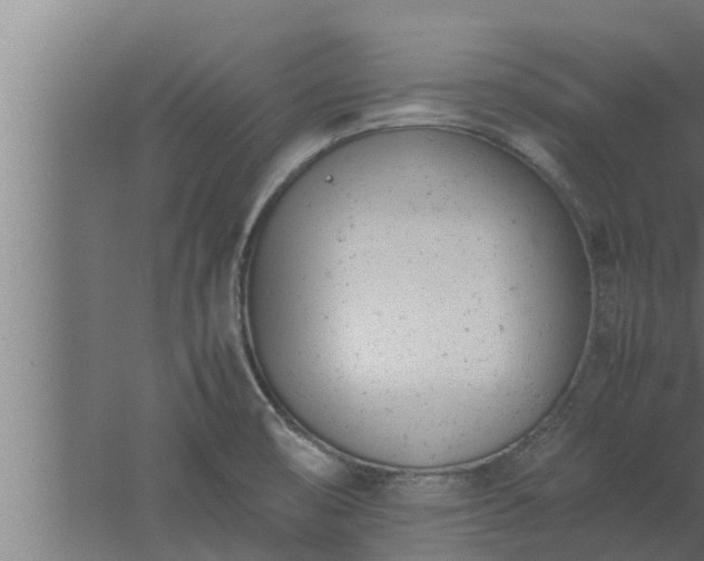 X0000061121474200511241657