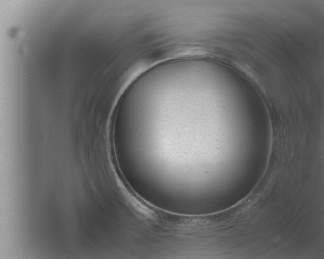 X0000061121475200511241656