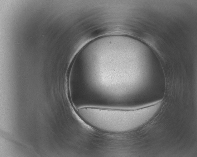 X0000061121476200511241656