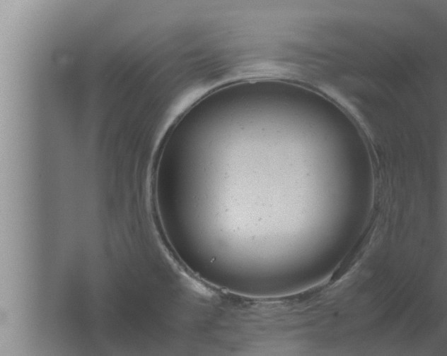 X0000061121477200511241656