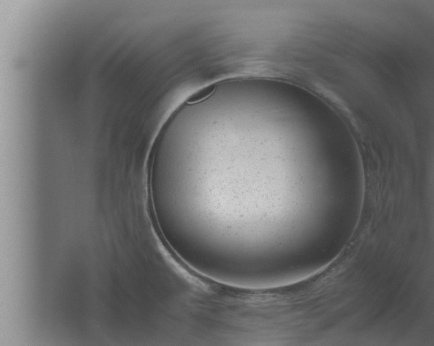 X0000061121479200511241656