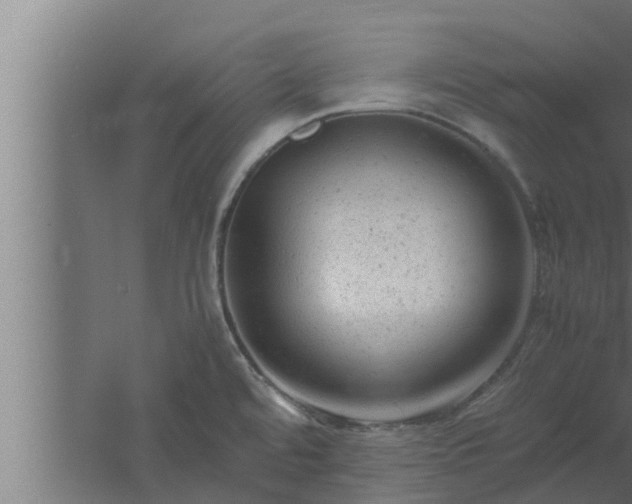 X0000061121480200511241656