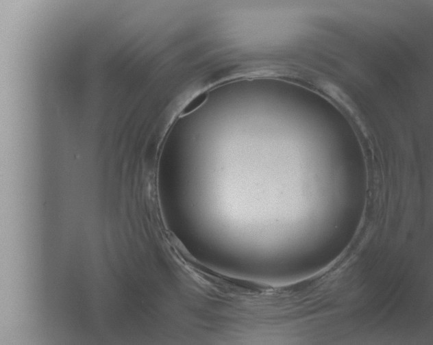 X0000061121481200511241656