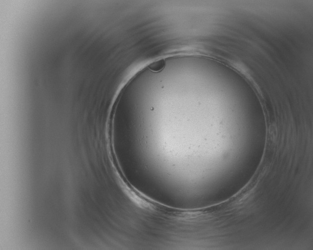 X0000061121482200511241656