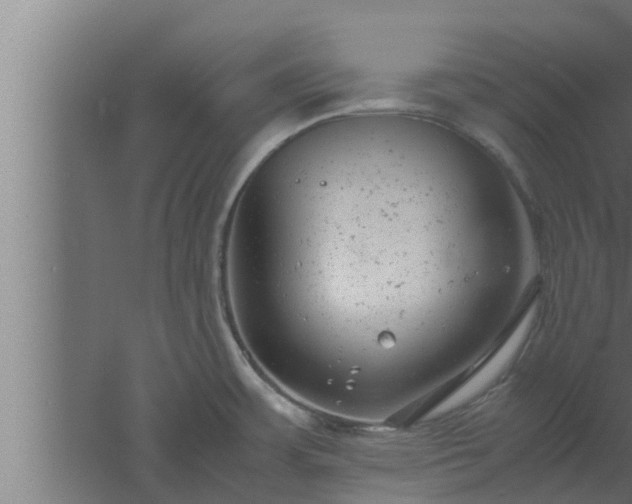 X0000061121483200511241656