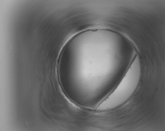 X0000061121484200511241656