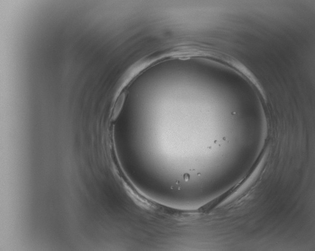 X0000061121485200511241656