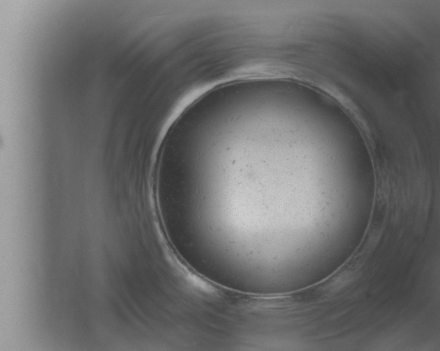 X0000061121486200511241656