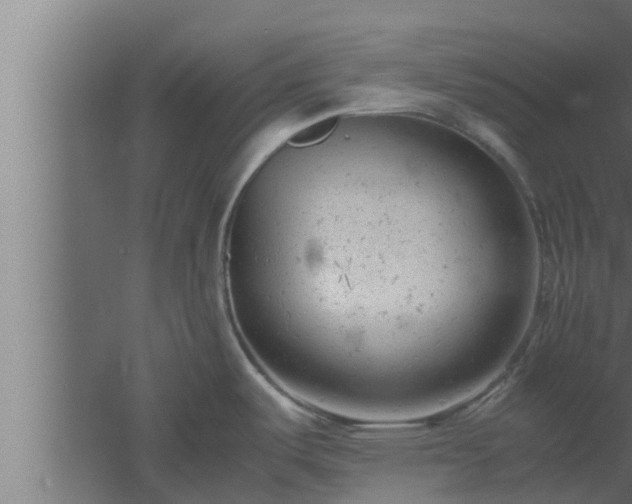 X0000061121487200511241656