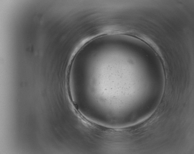 X0000061121488200511241656