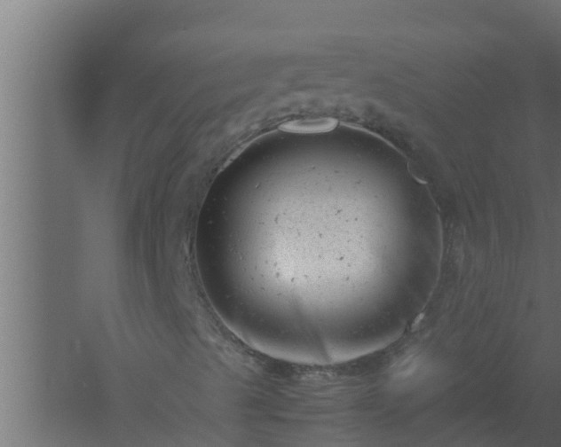 X0000061121489200511241655