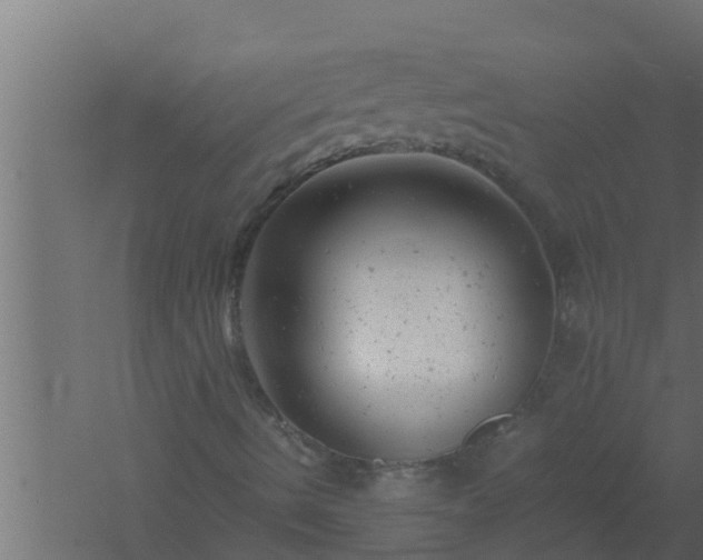 X0000061121490200511241655