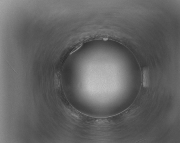 X0000061121491200511241655