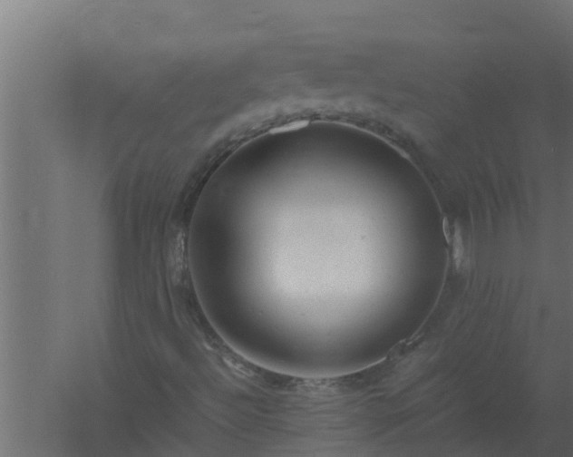 X0000061121492200511241655