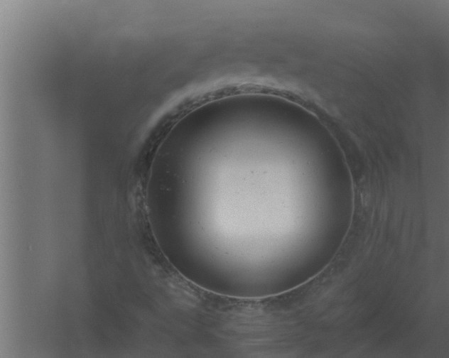 X0000061121495200511241656