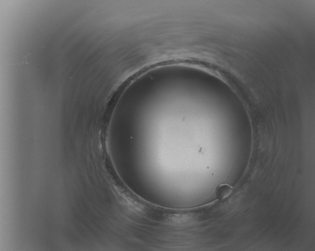 X0000061121497200511241656