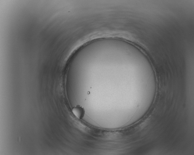 X0000061121498200511241656