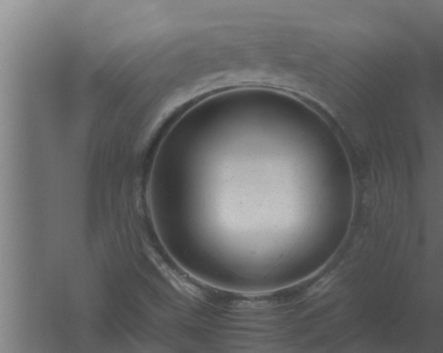 X0000061121499200511241656