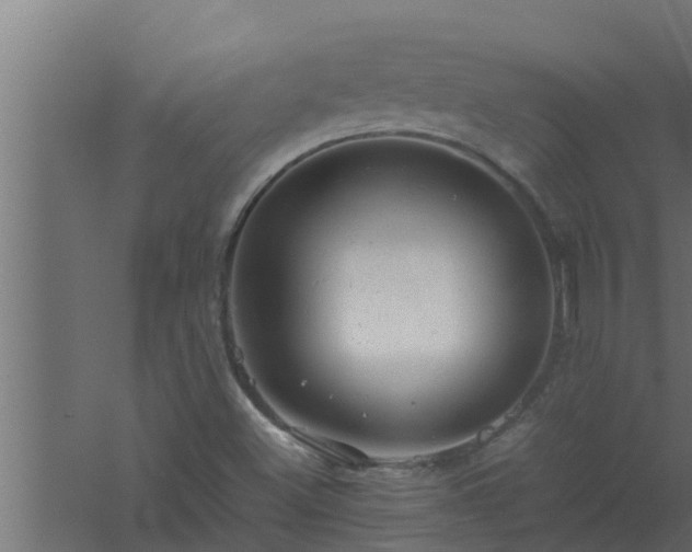 X0000061121500200511241656