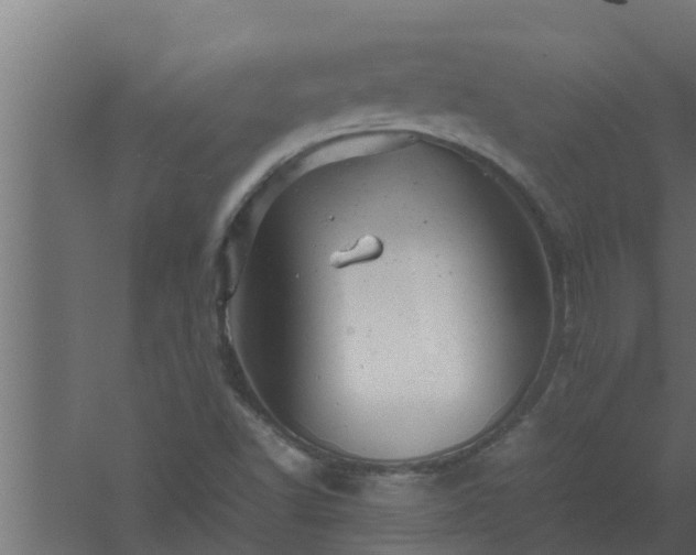 X0000061121502200511241656