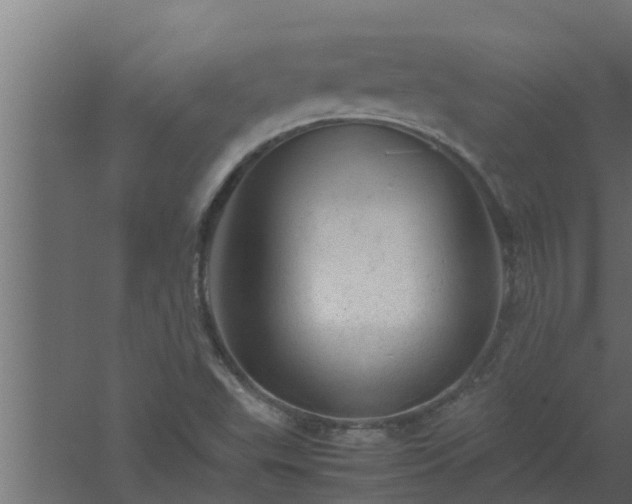 X0000061121503200511241656